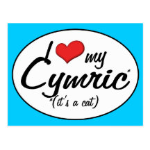 It's a Cat! I Love My Cymric Postcard