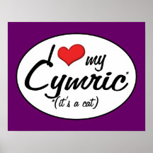 It's a Cat! I Love My Cymric Poster