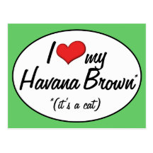 It's a Cat! I Love My Havana Brown Postcards