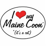 It's a Cat! I Love My Maine Coon Photo Cut Outs