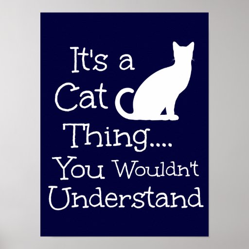 It's A Cat Thing You Wouldn't Understand Poster Zazzle