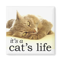 It's a Cat's Life - Magnet