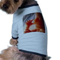 It's a Child.......Not a Choice!! pet clothing