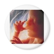 It's a Child.......Not a Choice!! magnets by Geri42251 It's a Child.......Not a Choice!! magnets