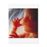 It's a Child.......Not a Choice!! Postcards