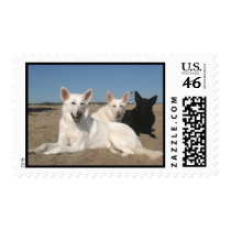 It's A Coastal Thing! postage