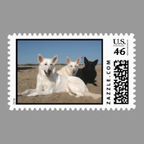 It's A Coastal Thing! postage