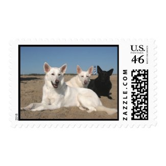 It's A Coastal Thing! stamp