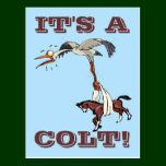 IT'S A COLT 2! postcards