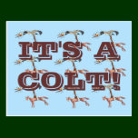 IT'S A COLT! postcards