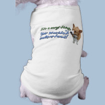 It's a Corgi Thing pet clothing by MenagerieMayhem It's a Corgi Thing pet clothing
