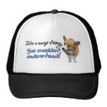 It's a Corgi Thing Hats