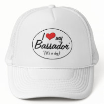 It's a Dog! I Love My Bassador Mesh Hats
