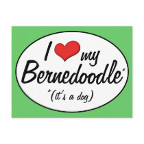 It's a Dog! I Love My Bernedoodle Postcard