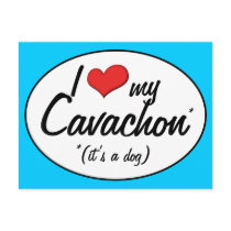 It's a Dog! I Love My Cavachon Postcards