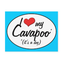 It's a Dog! I Love My Cavapoo Post Card