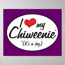 It's a Dog! I Love My Chiweenie Poster