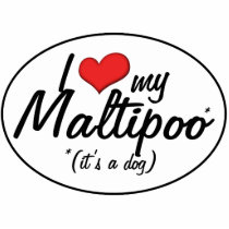 It's a Dog! I Love My Maltipoo Acrylic Cut Outs