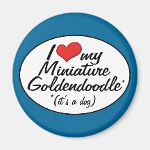 It's a Dog! I Love My Miniature Goldendoodle Fridge Magnets
