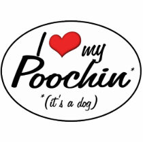 It's a Dog! I Love My Poochin Acrylic Cut Outs