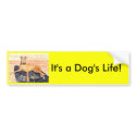 'It's a Dog's Life!' Bumper Sticker bumper stickers by picklelillysdad 'It's a Dog's Life!' Bumper Sticker bumper stickers