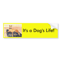'It's a Dog's Life!' Bumper Sticker bumper stickers by picklelillysdad 'It's a Dog's Life!' Bumper Sticker bumper stickers