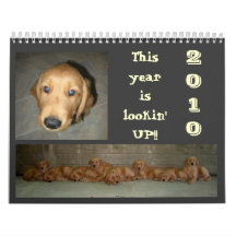 Its a Dog's Life Calendar