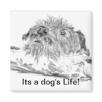Its a Dog's Life! Magnet