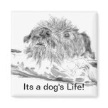 Its a Dog's Life! magnets