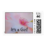 It's a Girl! stamps Pink Rose Flower postage Cards