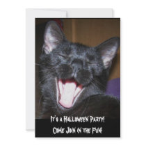 It's a Halloween Party Cat Invitation