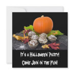 It's a Halloween Party Invitation invitation