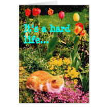 It's a hard life... cards by Anaphora It's a hard life... cards