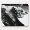 Its a hard life mousepads