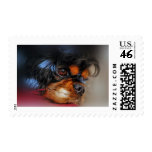 IT'S A HARD LIFE....... POSTAGE STAMPS