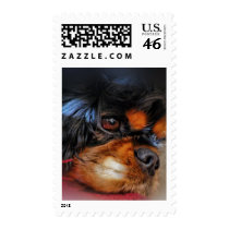 IT'S A HARD LIFE....... POSTAGE