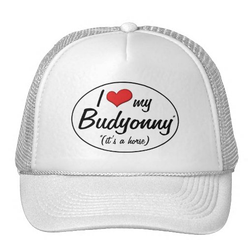 It's a Horse! I Love My Budyonny Hat
