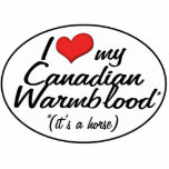 It's a Horse! I Love My Canadian Warmblood Photo Sculptures