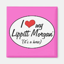 It's a Horse! I Love My Lippitt Morgan Fridge Magnets
