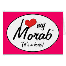 It's a Horse! I Love My Morab Greeting Card