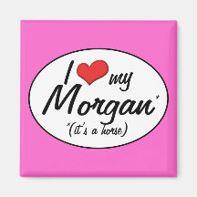 It's a Horse! I Love My Morgan Refrigerator Magnets