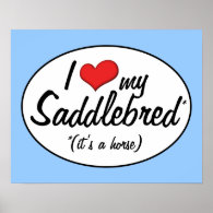 It's a Horse! I Love My Saddlebred Posters