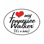 It's a Horse! I Love My Tennessee Walker T Shirts