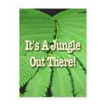 It's A Jungle Out There Post Cards