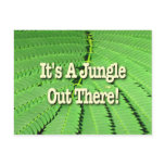It's A Jungle Out There Post Cards