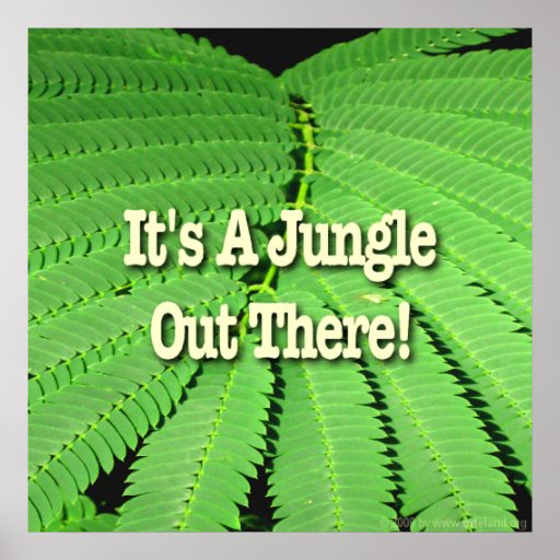It's A Jungle Out There Poster