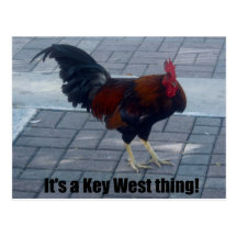 It's a Key West thing! Postcard