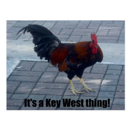 It's a Key West thing! Postcard