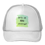 It's a kite thing! hat