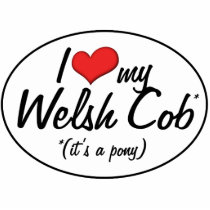 It's a Pony! I Love My Welsh Cob Acrylic Cut Out